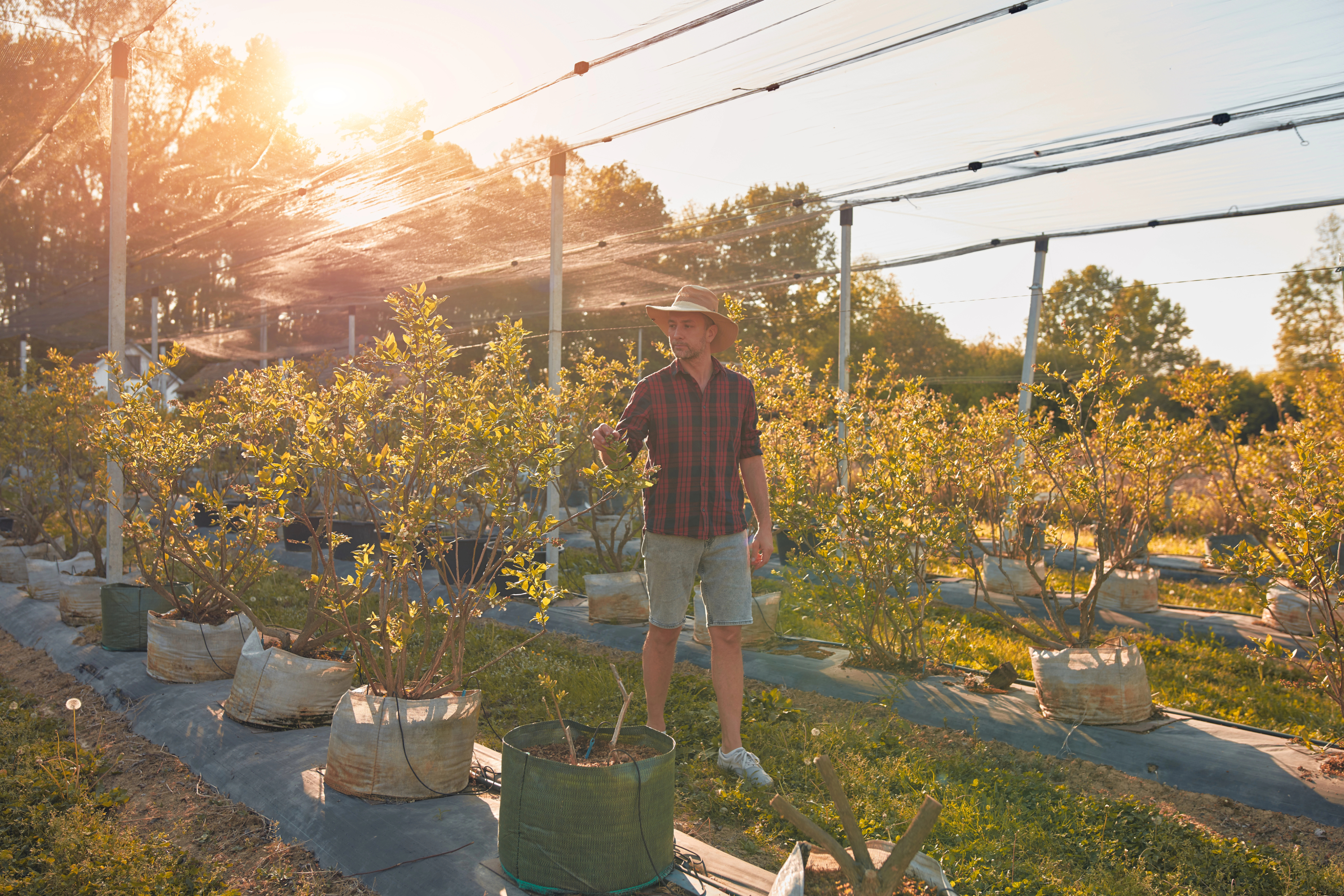 dc2c8133dbc8b599e974cdb66d868da81d21f7dd